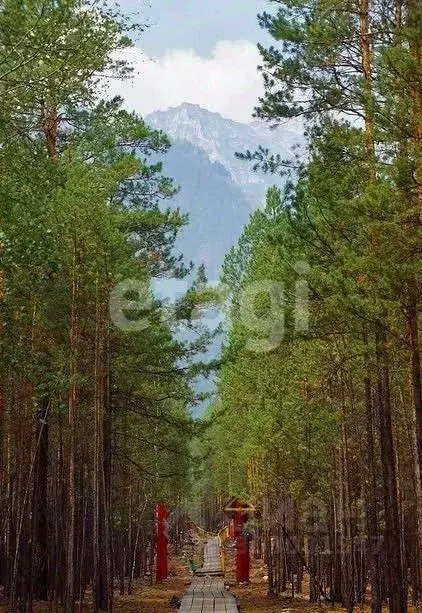 участок в бурятия, с. баргузин (15.0 сот.) - Фото 1