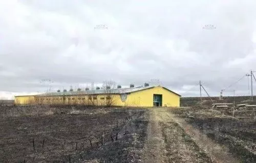 Помещение свободного назначения в Калужская область, Мещовск городское ... - Фото 0