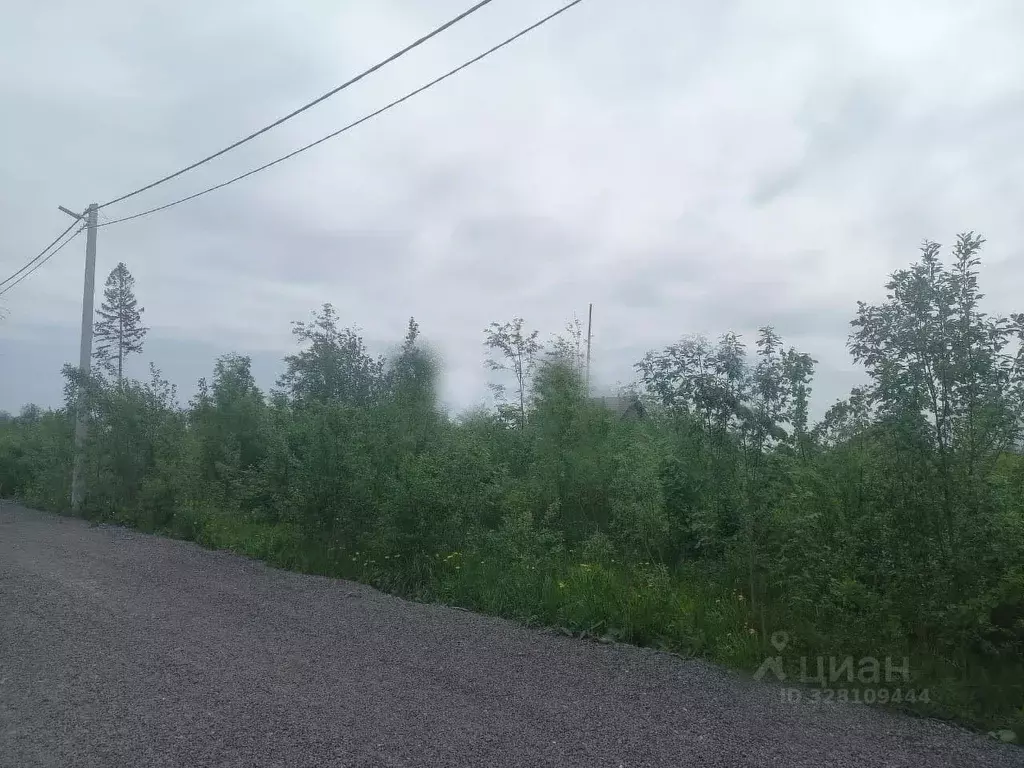 Участок в Московская область, Дмитровский муниципальный округ, д. ... - Фото 2