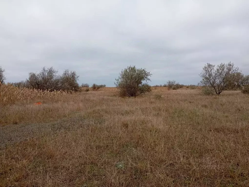 Участок в Крым, Евпатория городской округ, Заозерное пгт ул. Аллея ... - Фото 1