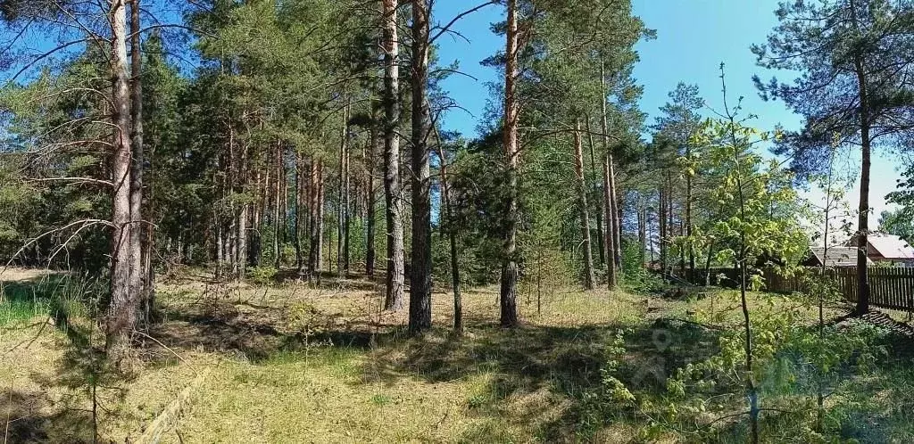 участок в псковская область, невельский муниципальный округ, д. . - Фото 1