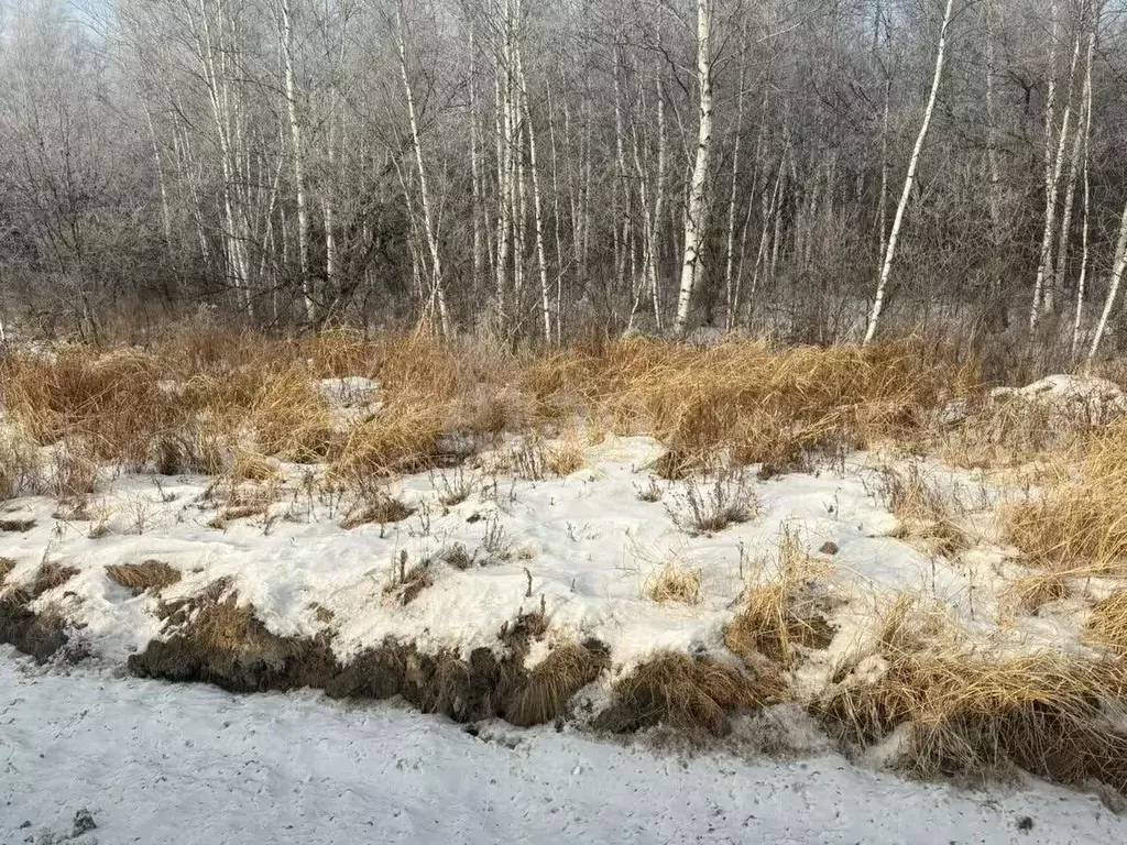 Участок в Хабаровский край, Хабаровский район, с. Восточное  (10.0 ... - Фото 2