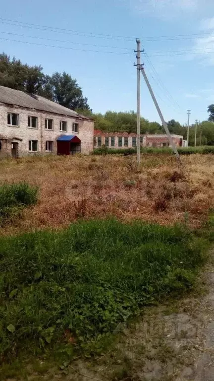 Помещение свободного назначения в Курская область, Фатежский район, ... - Фото 1