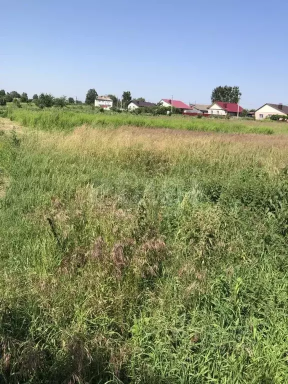 Участок в Брянская область, Брянский район, Глинищевское с/пос, с. ... - Фото 2