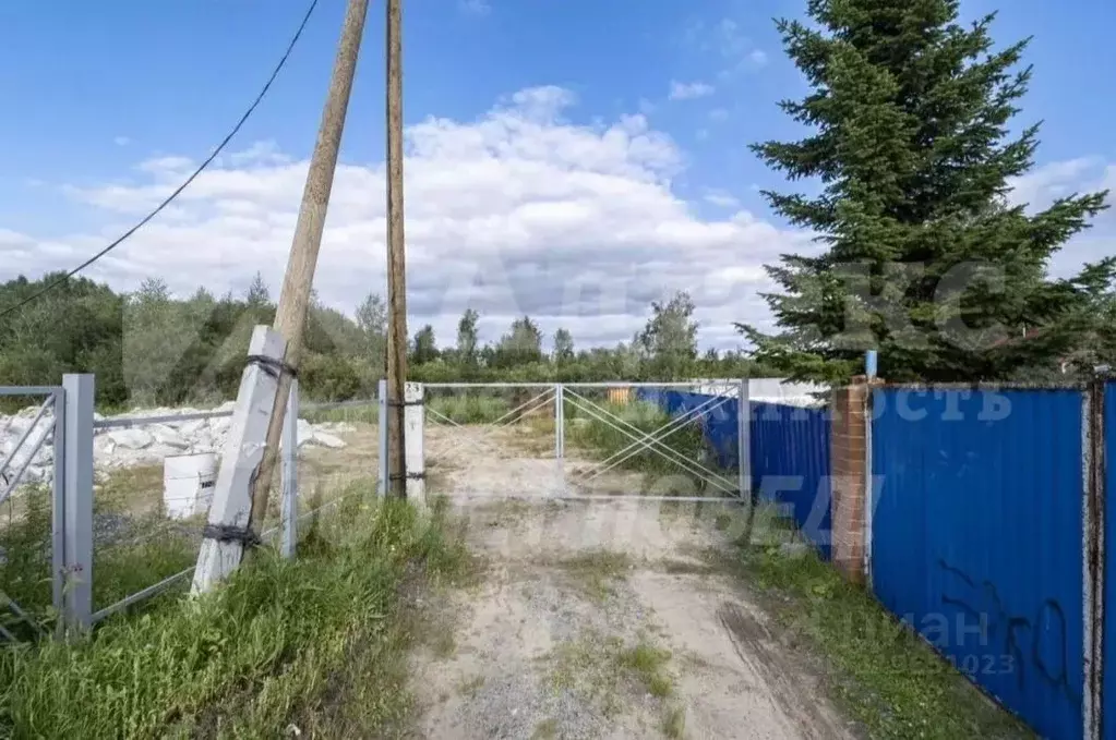 Участок в Тюменская область, Тюменский район, Рассвет-1 СНТ ул. ... - Фото 1