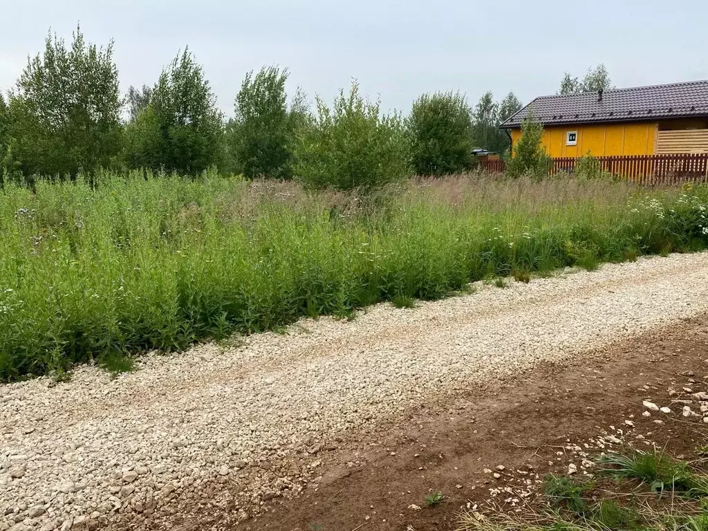 Участок в Владимирская область, Александровский район, Андреевское ... - Фото 1