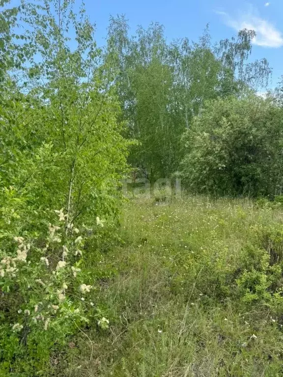 Участок в Саха (Якутия), Якутск городской округ, с. Владимировка ул. ... - Фото 0