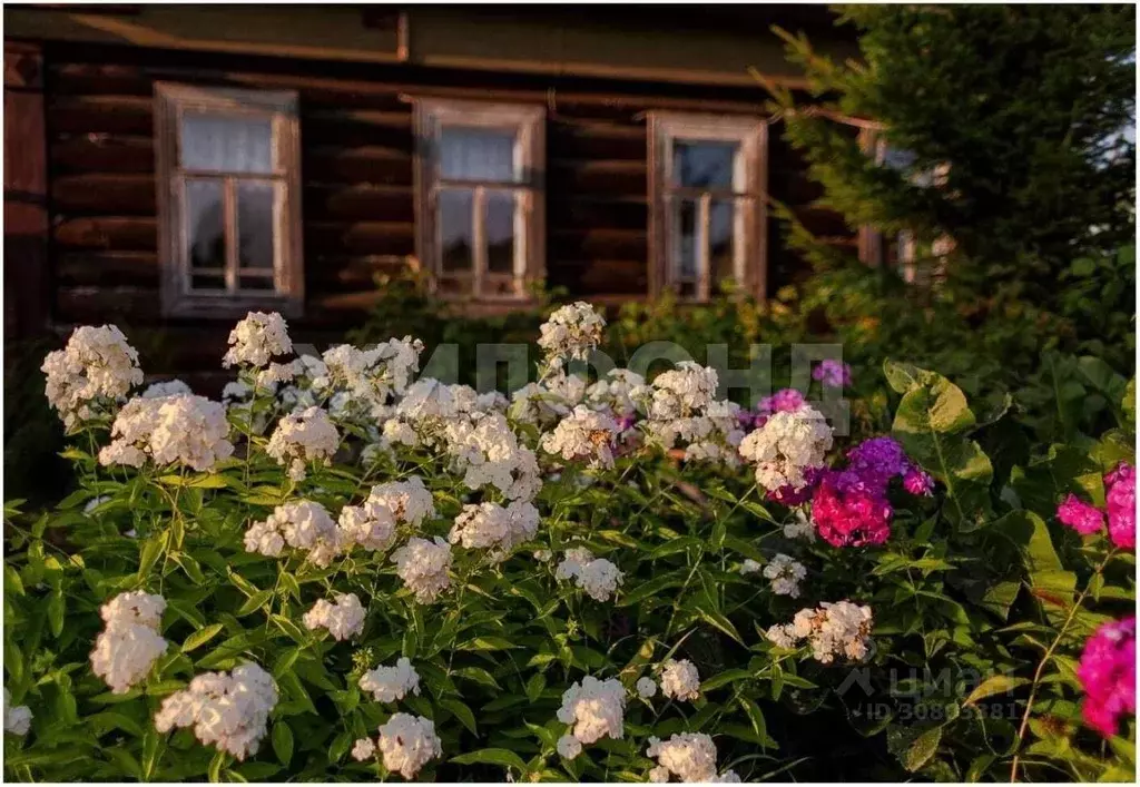 Дом в Архангельская область, Онега пер. Кучина (63 м) - Фото 0