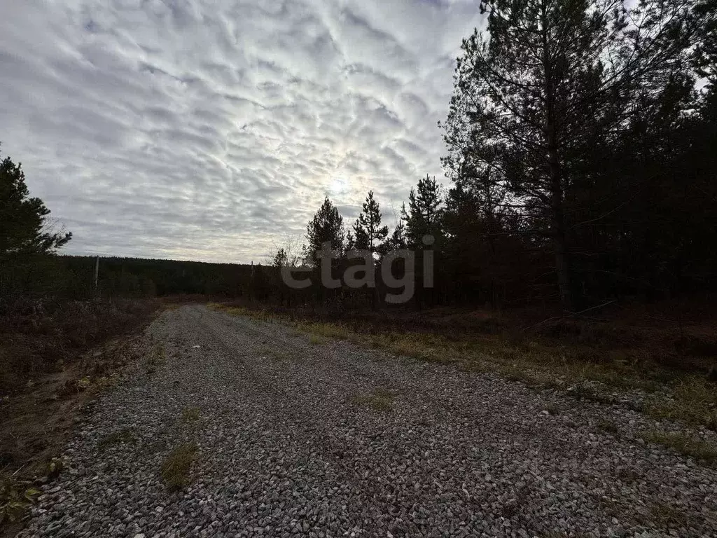 Участок в Свердловская область, Талица ул. Луначарского (11.0 сот.) - Фото 1