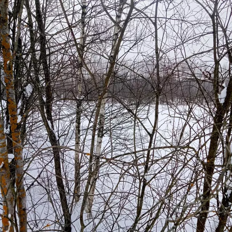 Участок в Московская область, Егорьевск муниципальный округ, д. ... - Фото 1