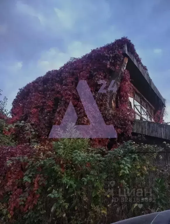 Дом в Пермский край, Пермский муниципальный округ, пос. Красный Восход ... - Фото 2