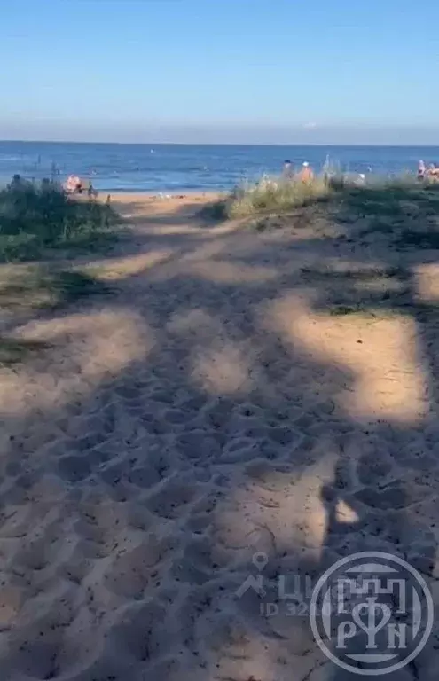 Участок в Ленинградская область, Всеволожский район, Рахьинское ... - Фото 0
