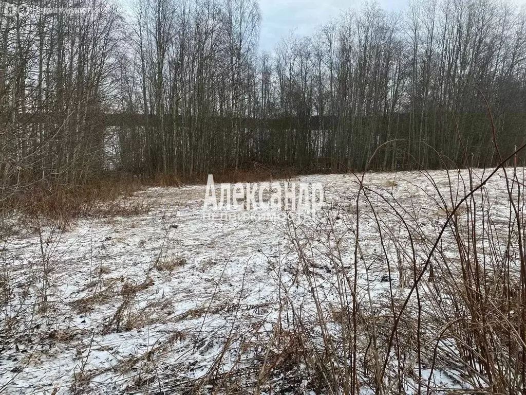 Участок в Республика Карелия, Лахденпохский муниципальный округ, ... - Фото 2