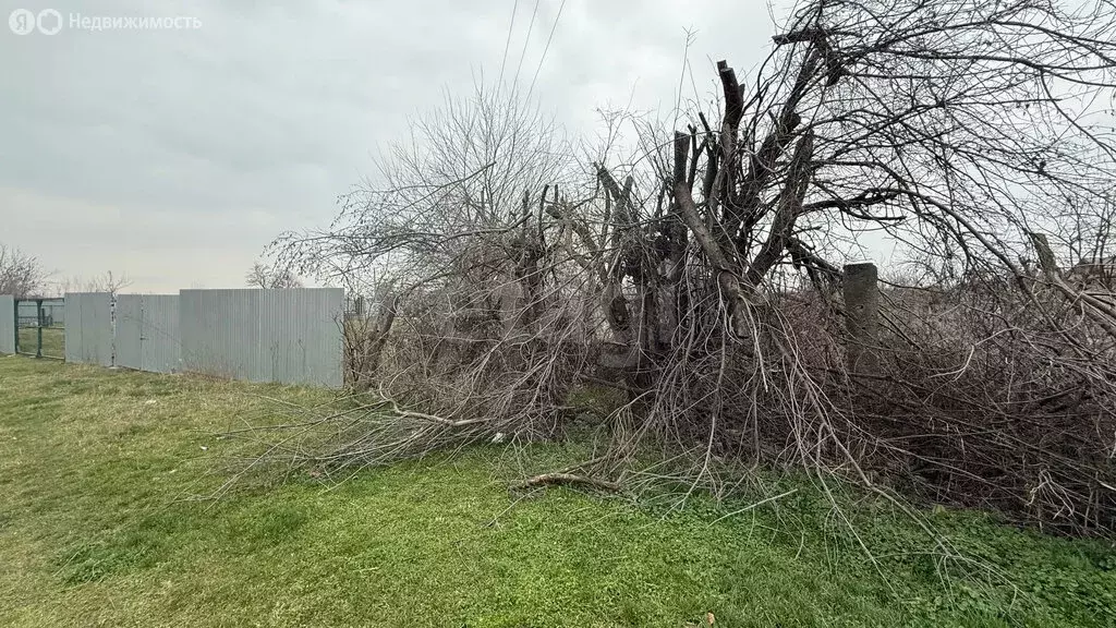 Участок в село Ногир, улица Будённого (8 м) - Фото 1