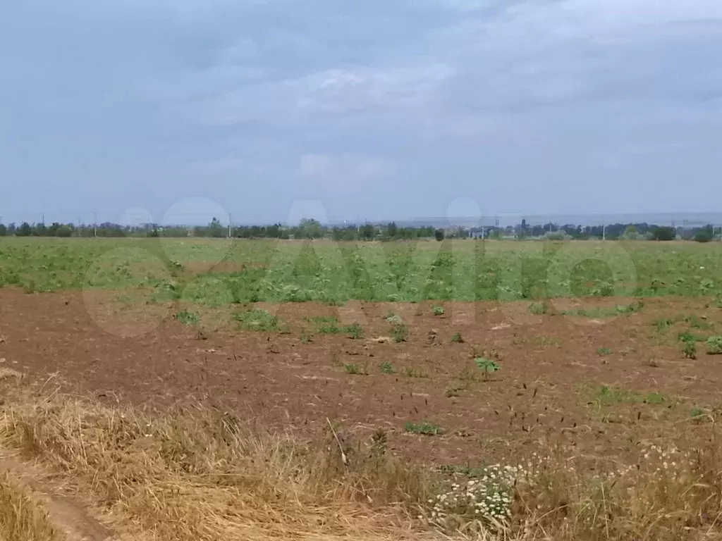 Участок 6,2 сот. (СНТ, ДНП) - Фото 0