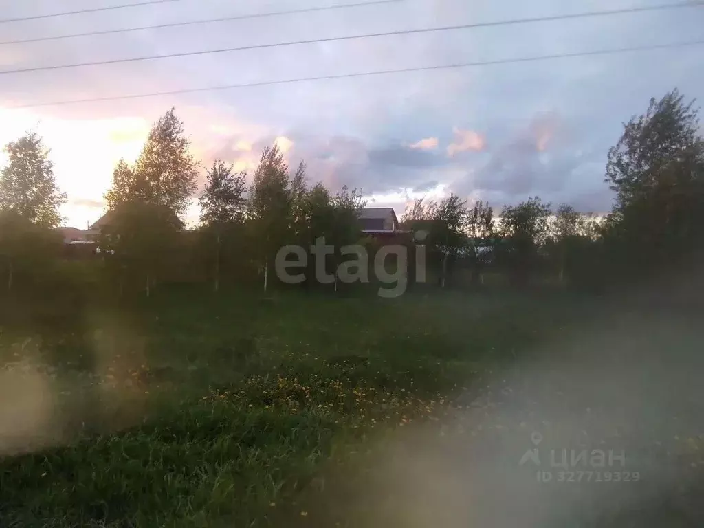 Участок в Томская область, Томский район, Теремки ДНП ул. Лучистая ... - Фото 2