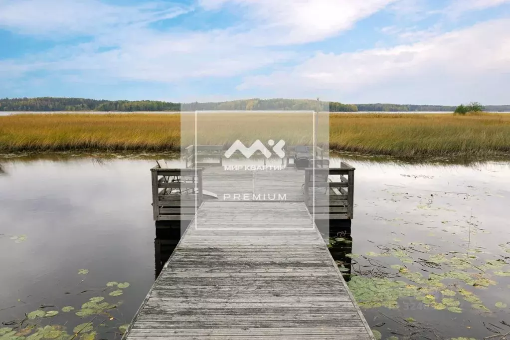 Участок в Ленинградская область, Выборг ул. Прибрежная (17.36 сот.) - Фото 1