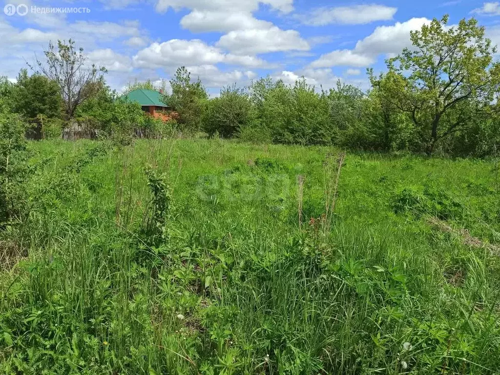 Участок в Рамонский район, Айдаровское сельское поселение, СТ Лесовод ... - Фото 2