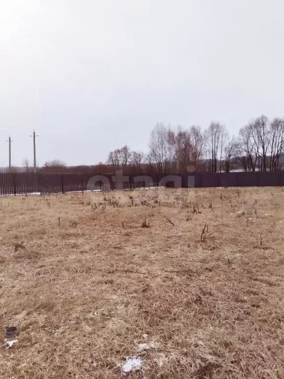 Участок в Калужская область, Боровский муниципальный округ, ... - Фото 2