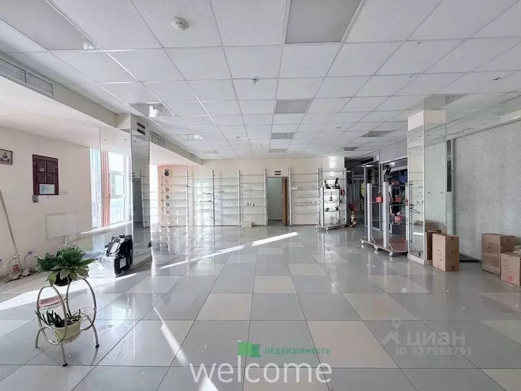 Помещение свободного назначения в Ставропольский край, Ставрополь ул. ... - Фото 1