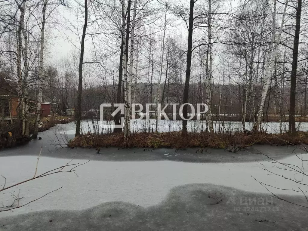 Участок в Ярославская область, Ярославль Мелиоратор СНТ, дорожка 15-я, ... - Фото 1