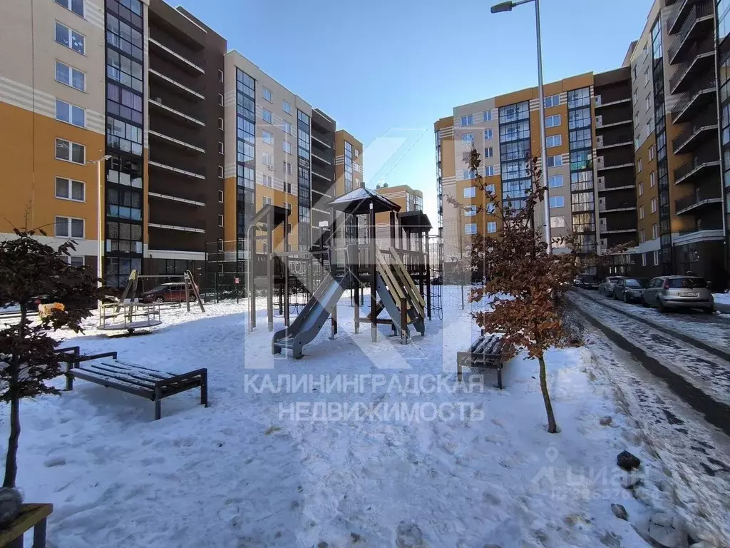 1-к кв. Калининградская область, Калининград Тихорецкая ул., 22Б (31.9 ... - Фото 1