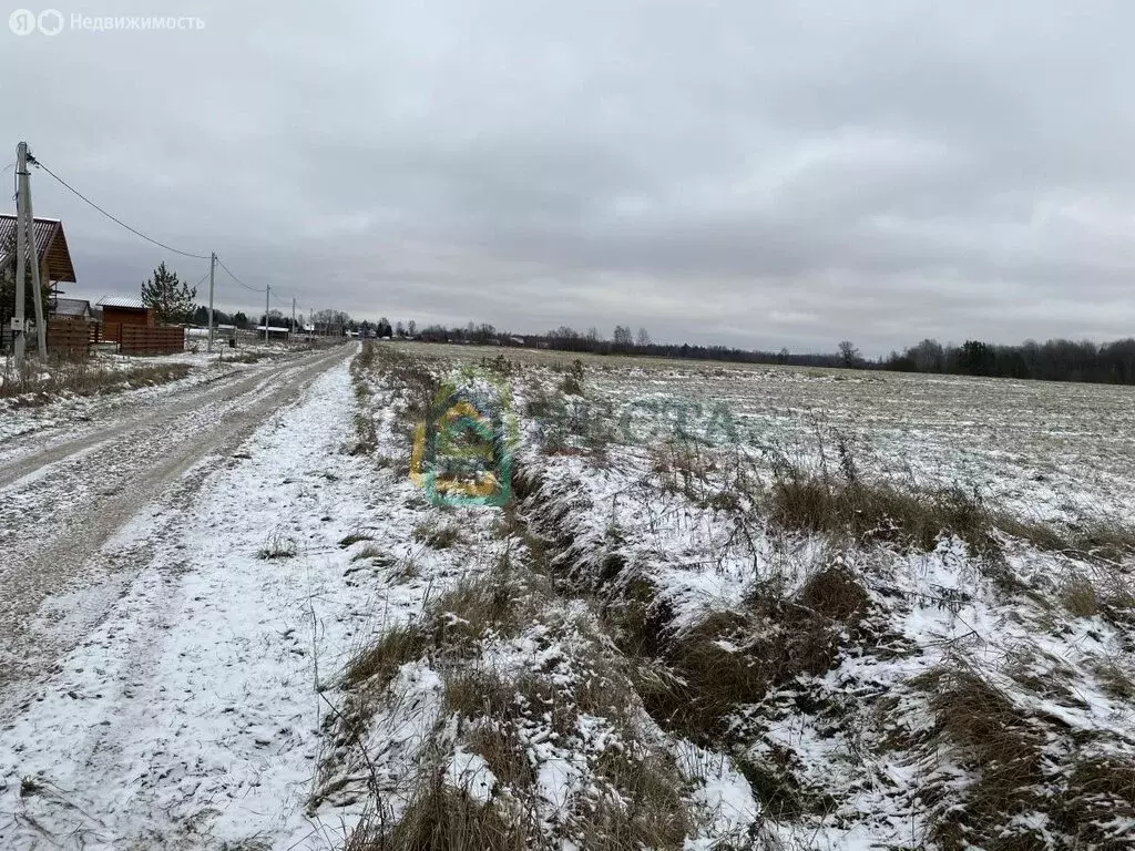 Участок в Кусинское сельское поселение (195 м) - Фото 0