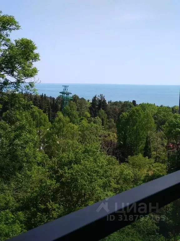 2-к кв. Краснодарский край, Сочи Светлана мкр, ул. Депутатская, 10Б/1 ... - Фото 0
