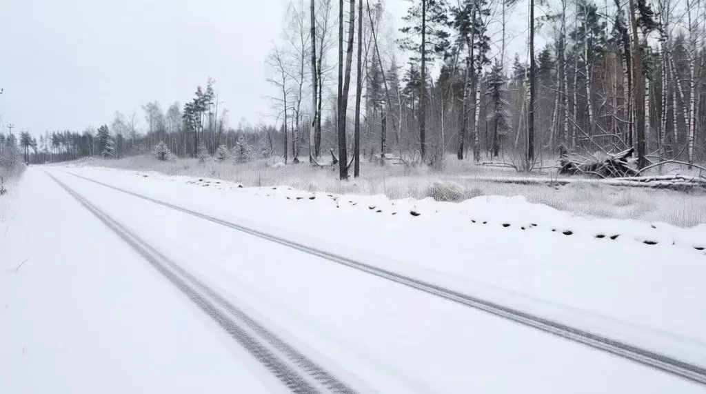 Участок в Воронежская область, Рамонский район, с. Ямное ул. ... - Фото 1