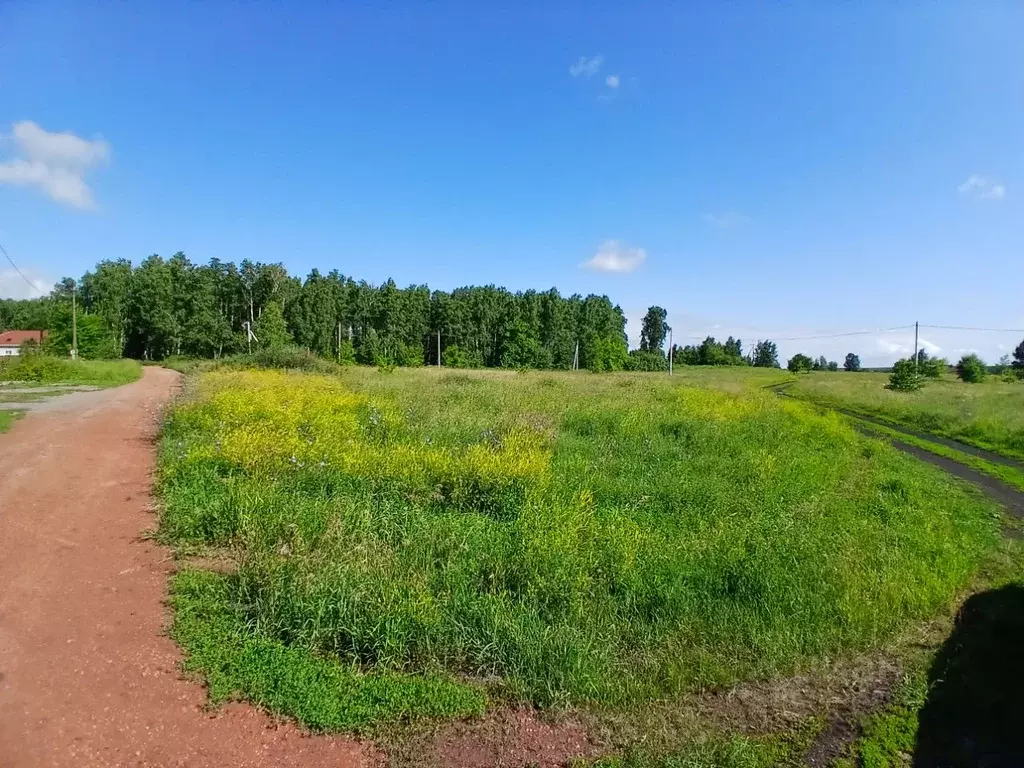 Участок в Челябинская область, Сосновский муниципальный округ, пос. ... - Фото 1