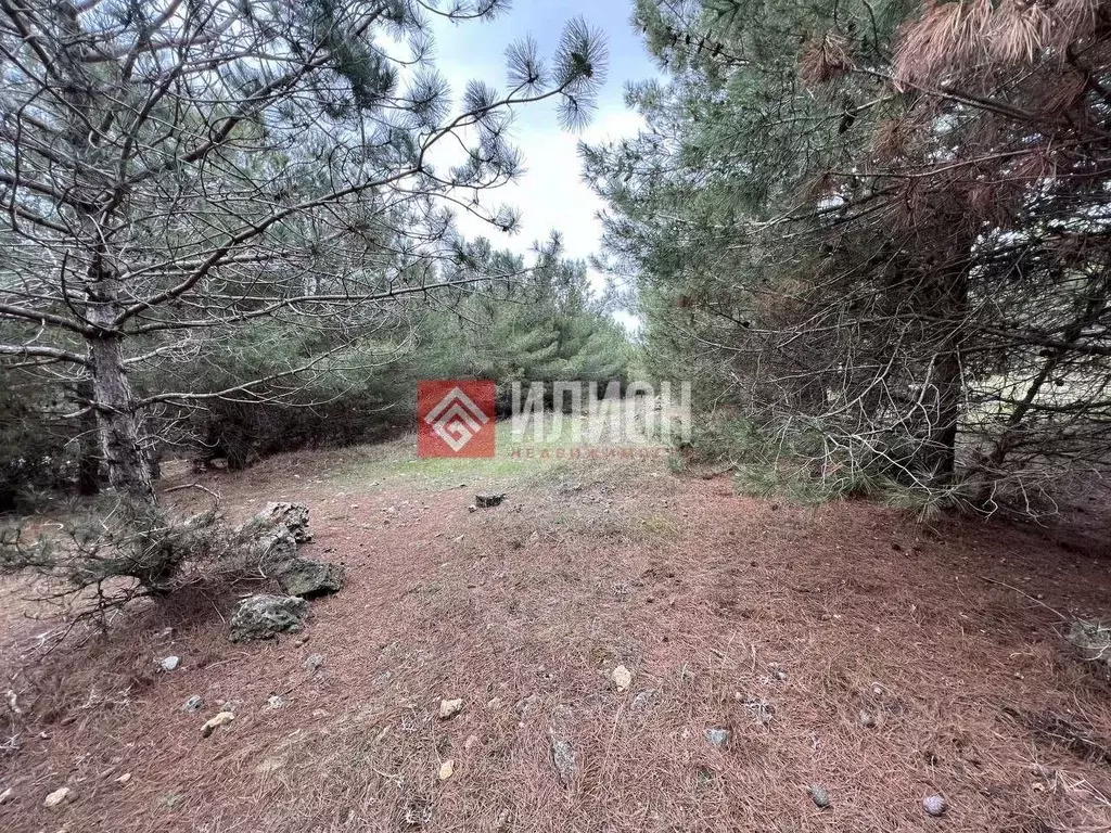 Участок в Севастополь ул. Маршала Кошевого (9.0 сот.) - Фото 2