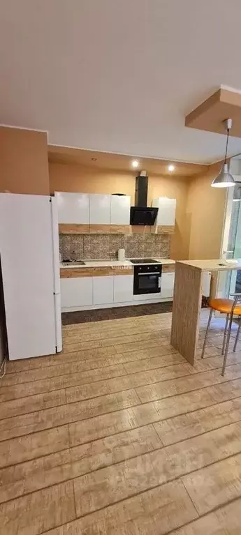 Студия Санкт-Петербург просп. Маршала Блюхера, 9к2 (26.9 м) - Фото 2