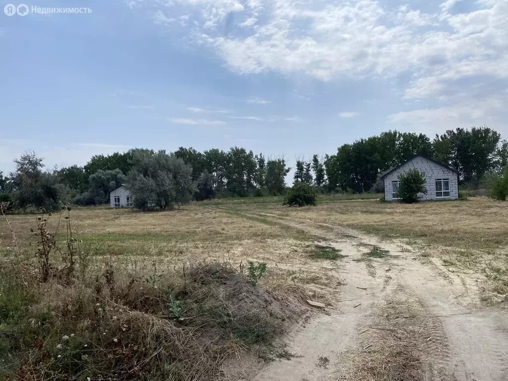 Участок в Манычское сельское поселение (180 м) - Фото 1