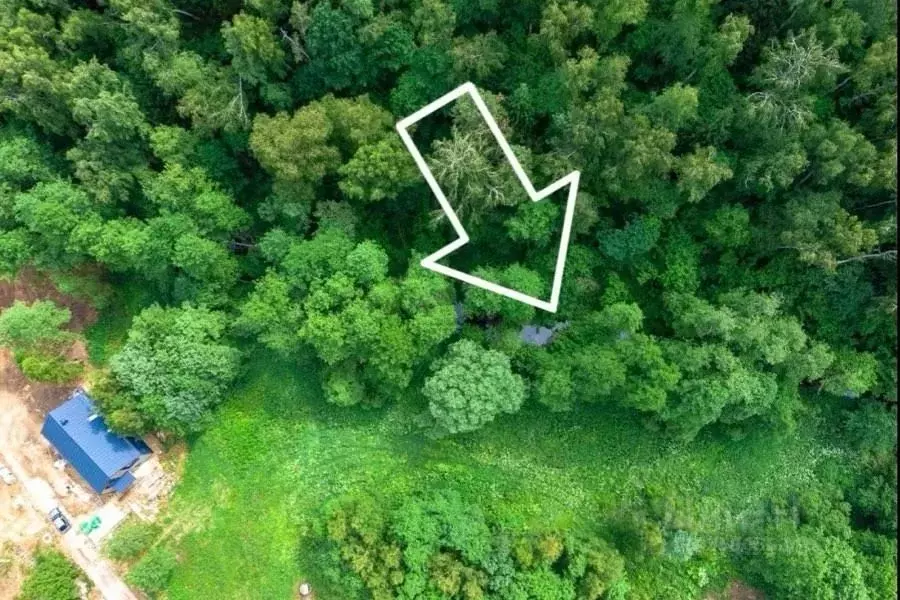 Участок в Московская область, Домодедово городской округ, д. Калачево ... - Фото 2