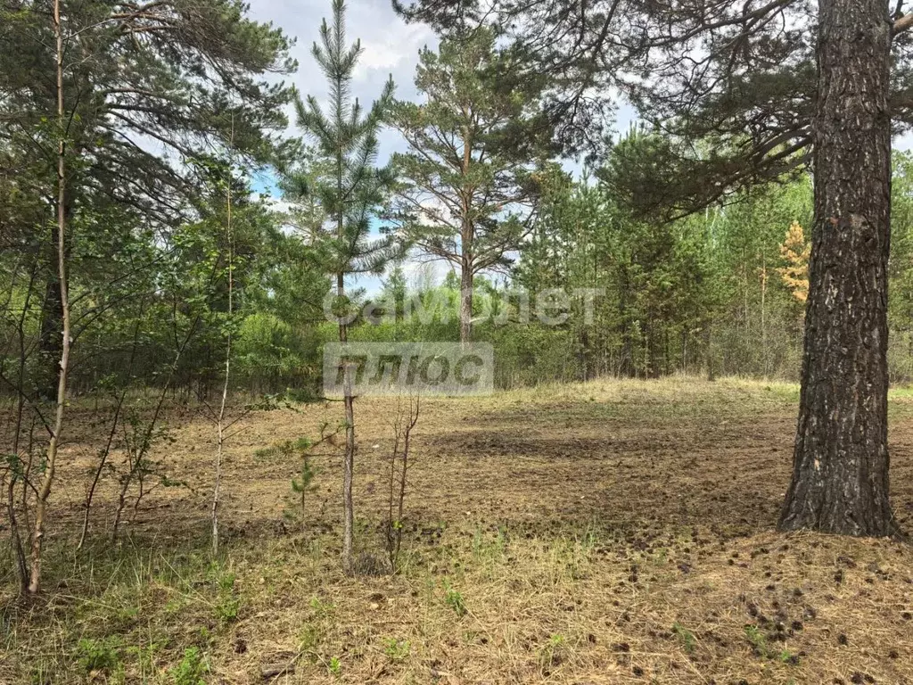 Участок в Забайкальский край, Чита пл. Ленина (7.0 сот.) - Фото 1