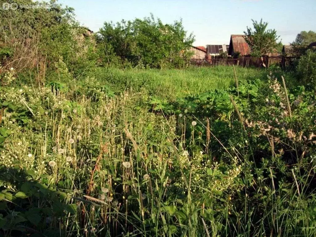 Участок в Красноярск, садоводческое некоммерческое товарищество ... - Фото 1