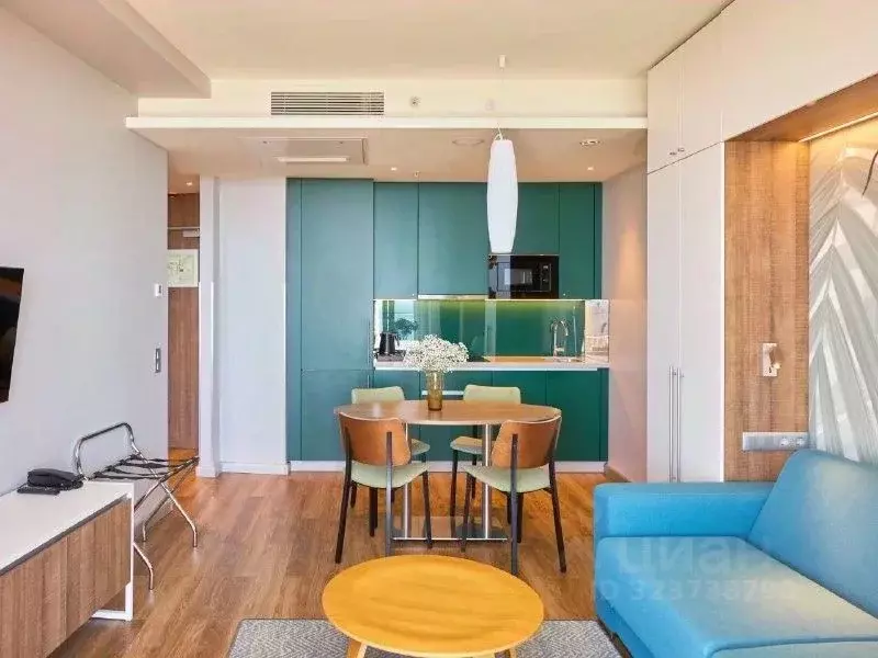 3-к кв. Краснодарский край, Сочи городской округ, Дагомыс пгт ул. ... - Фото 2