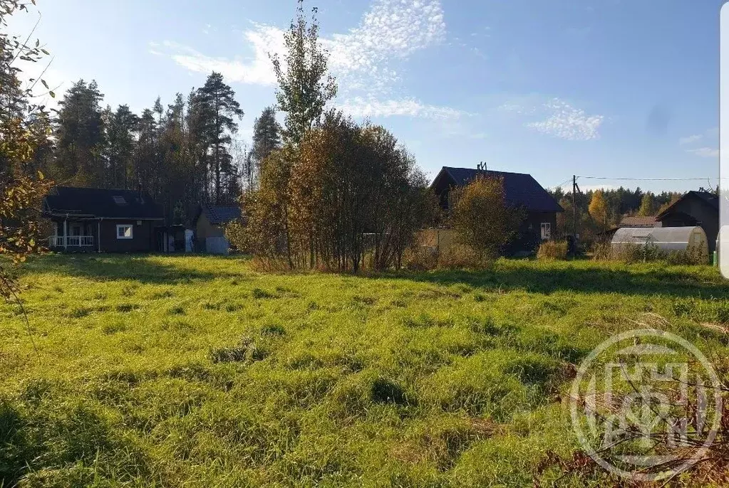 Участок в Ленинградская область, Приозерский район, Раздольевское ... - Фото 1