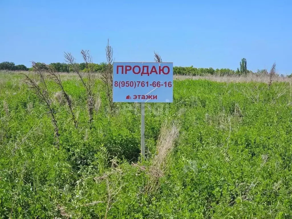 Участок в Воронежская область, Семилукский район, с. Девица ул. ... - Фото 0