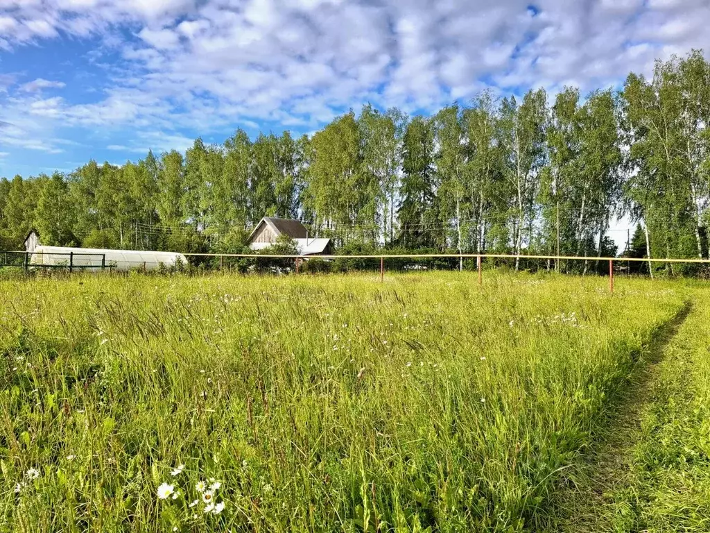 Участок в Марий Эл, Оршанский район, Марковское с/пос, д. Ивановка  ... - Фото 0