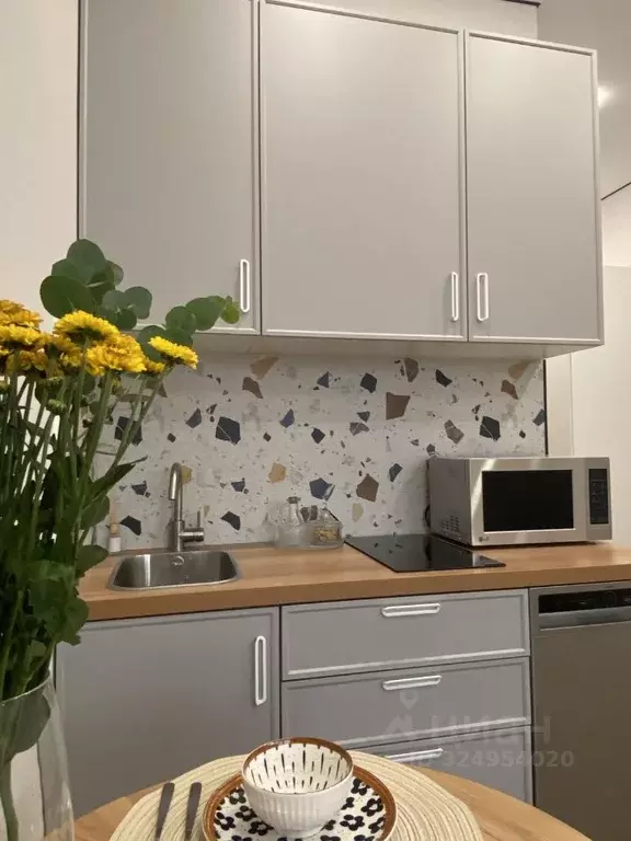 Студия Москва Нагатинская наб., 10А (21.0 м) - Фото 2