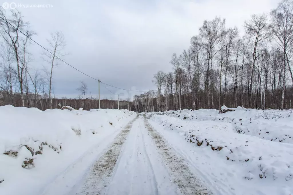 Участок в Тобольск, улица Дубровина (12 м) - Фото 2