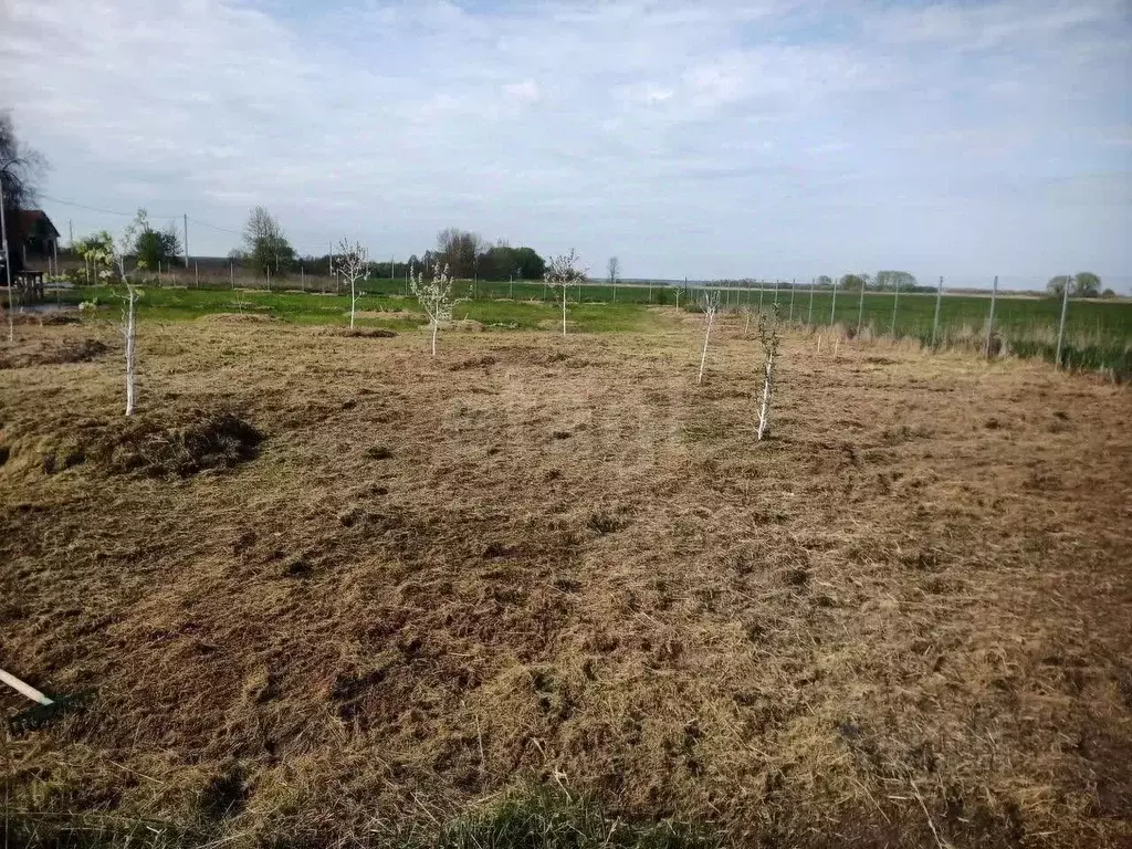 Участок в Калининградская область, Зеленоградский муниципальный округ, ... - Фото 2