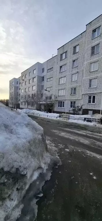 1-к кв. Московская область, Богородский городской округ, Обухово пгт ... - Фото 1