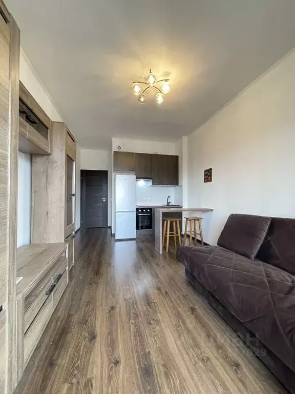Студия Санкт-Петербург просп. Ветеранов, 171к5 (24.6 м) - Фото 0