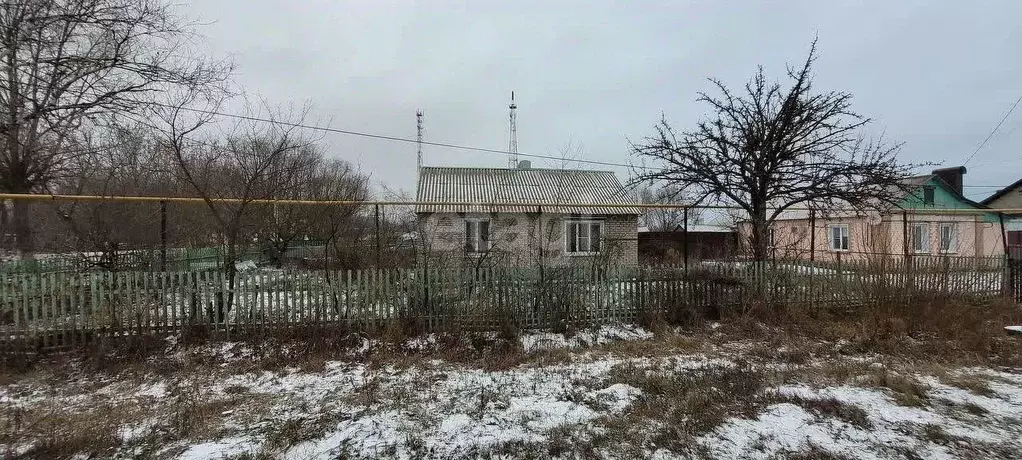 Дом в Липецкая область, пос. Добринка ул. Мира, 29 (72 м) - Фото 1