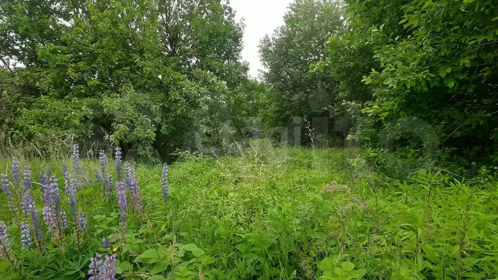 Участок 6,1 сот. (СНТ, ДНП) - Фото 0