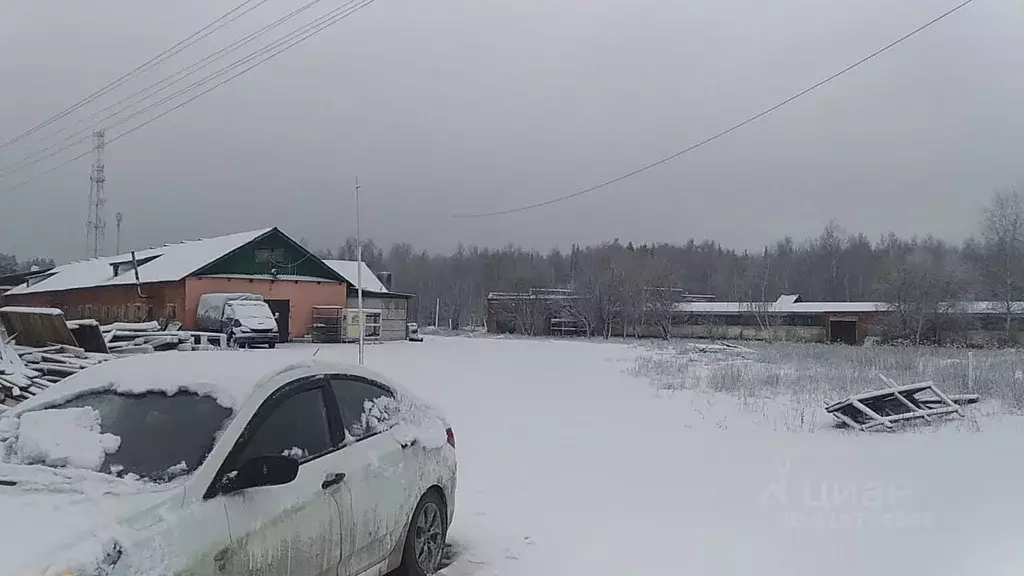 Склад в Московская область, Егорьевск городской округ, д. Семеновская  ... - Фото 1