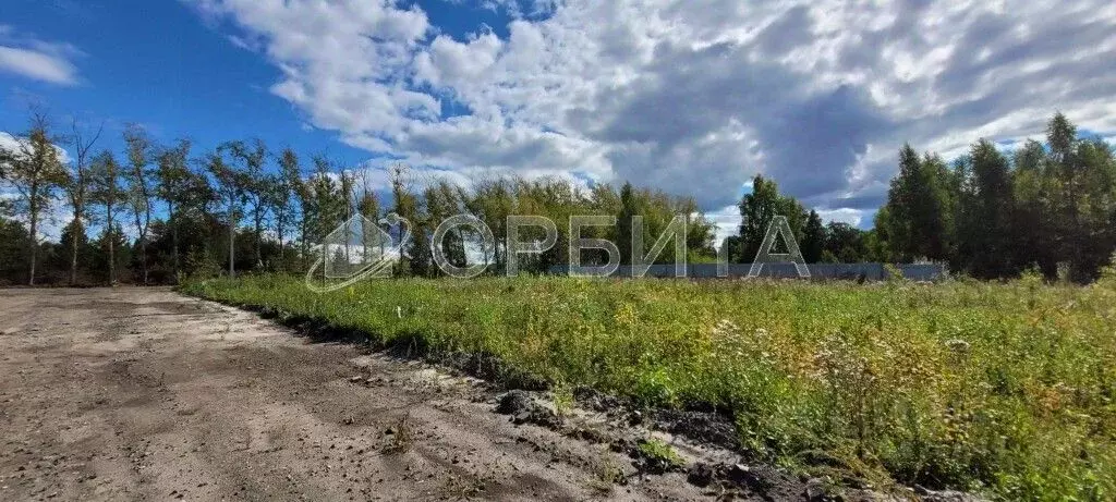Участок в Тюменская область, Тюмень Звенящие Кедры Тюмени ДНП,  ... - Фото 1