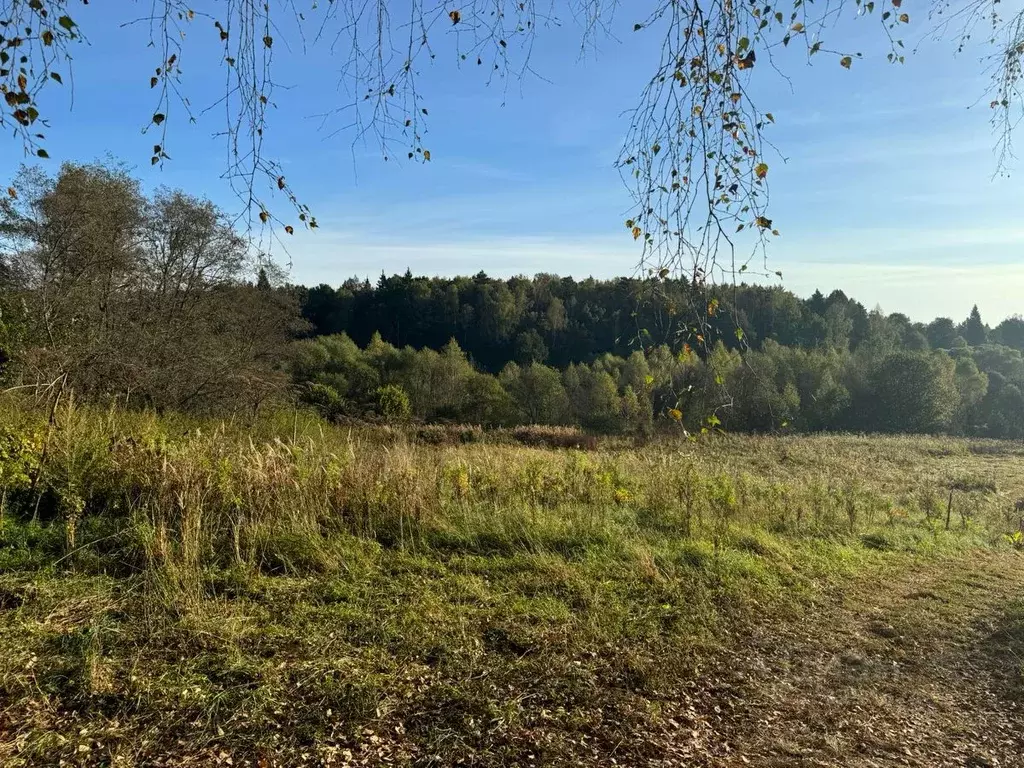 Участок в Москва № 16 кв-л, 121 (10.0 сот.) - Фото 1